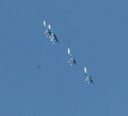 Avia shou 1 2 14